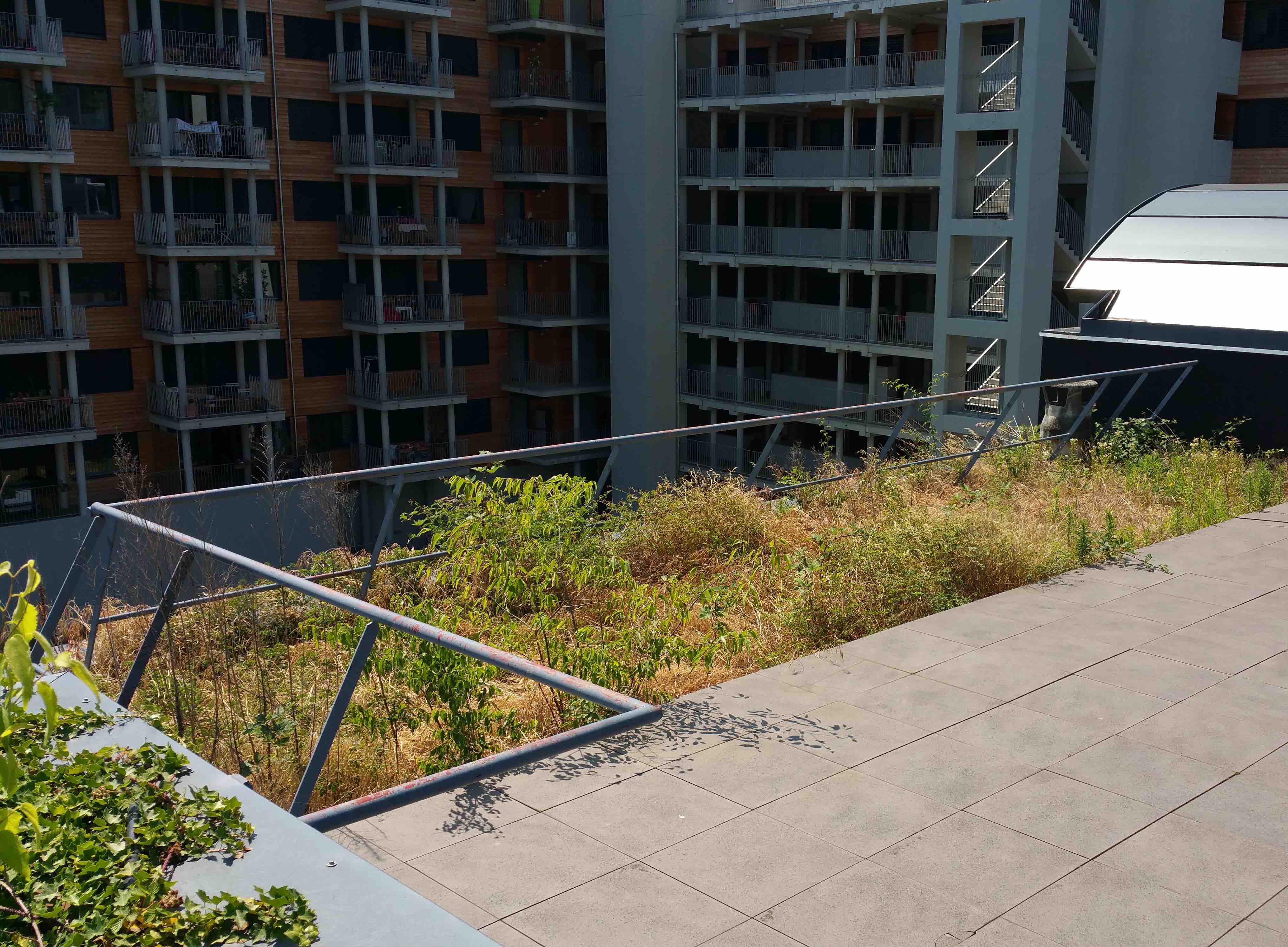 étanchéité terrasse